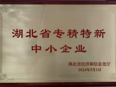 湖北省專精特新中小企業(yè)