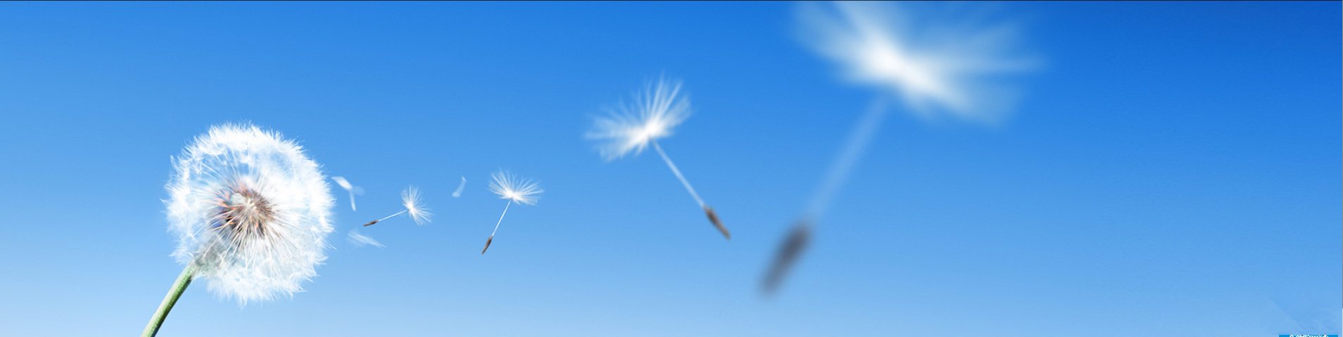 學(xué)習(xí)園地